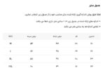 پولوشرت  250101 ZARA طوسی - Image 4